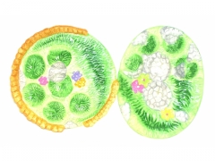 Talerz wielkanocny 0596