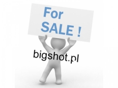 Domena internetowa  bigshot.pl