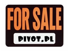 Domena internetowa pivot.pl