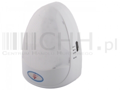 Lampa diodowa 1301