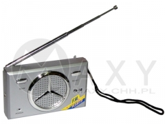 Radio scan