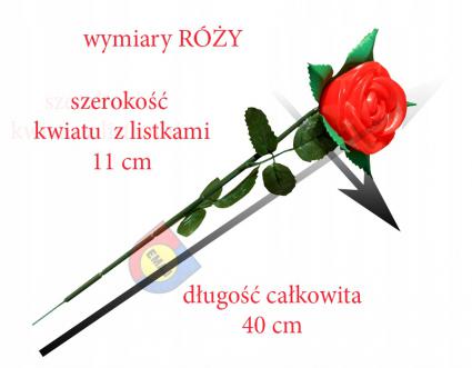 RÓŻAŚWIECĄCACZERWONAMIENISIĘLEDE0276EMAJRodzajwiecznaróża