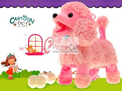 http://www.img.chh.pl/product_desc/459,360554,3.jpg