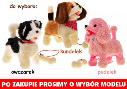 http://www.img.chh.pl/product_desc/459,360554,9.jpg