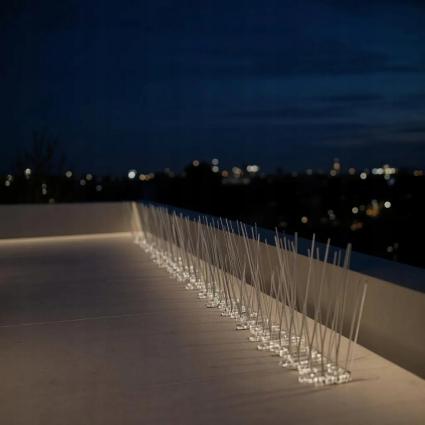 KOLCEPRZECIWPTAKOM40IGŁYNIERDZEWNENAPTAKIGOŁĘBIEKUNYLISTWA50cmKodproducentaKolcenaptaki50cmKanzaSklep