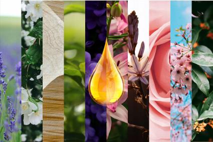 ZESTAWOLEJKÓWETERYCZNYCHZAPACHOWYCH100%12x10mldosaunykąpieliNazwazapachuproducentaZestawolejkóweterycznychzapachowychx10