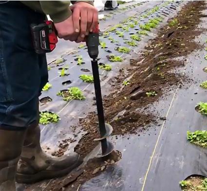 WiertłoogrodoweAzariswiertnicaglebowadosadzeniaziemiświder4x22Zasilanieelektryczne