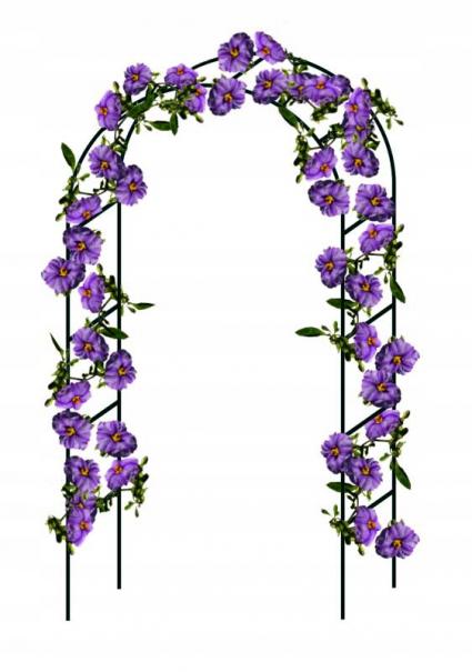 PergolaOgrodowaŁukowaTarasowaDoRóżKwiatów140x38x240CMOCYNKProducentAzaris