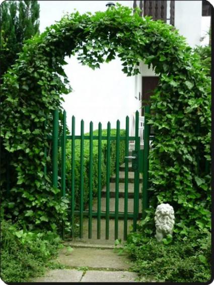 PergolaOgrodowaŁukowaTarasowaDoRóżKwiatów140x38x240CMOCYNKWysokośćcałkowita240cm