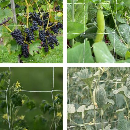 PODPÓRKADOROŚLINOGÓRKÓWPOMIDORÓWSTELAŻDOPNĄCYCHWARZYWXXL120X80EAN(GTIN)5907426661639