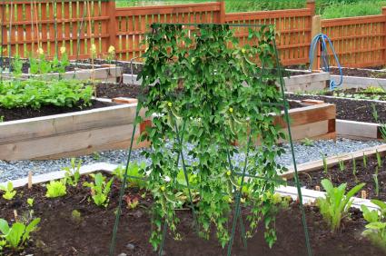 PODPÓRKADOROŚLINOGÓRKÓWPOMIDORÓWSTELAŻDOPNĄCYCHWARZYWXXL120X80Materiałdominującymetal