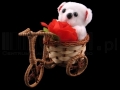 Więcej o produkcie