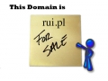 Domena internetowa rui.pl