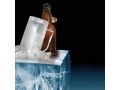 Lodowy Kufel FROSTER 500ml