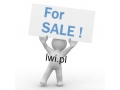 Domena internetowa lwi.pl